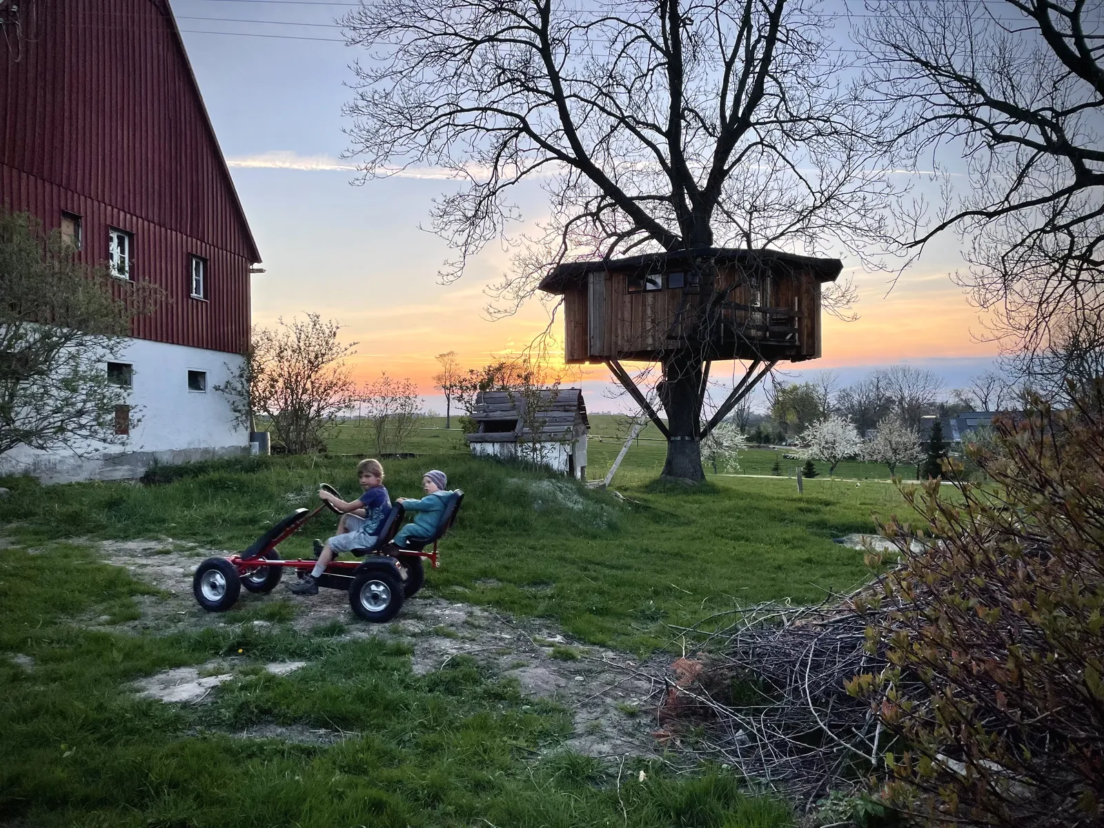 Baumhaus im Walnussbaum bei Sonnenuntergang