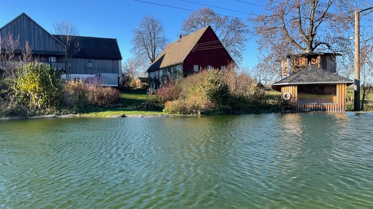 Flug über den Hof — Blick auf den Schwimmteich