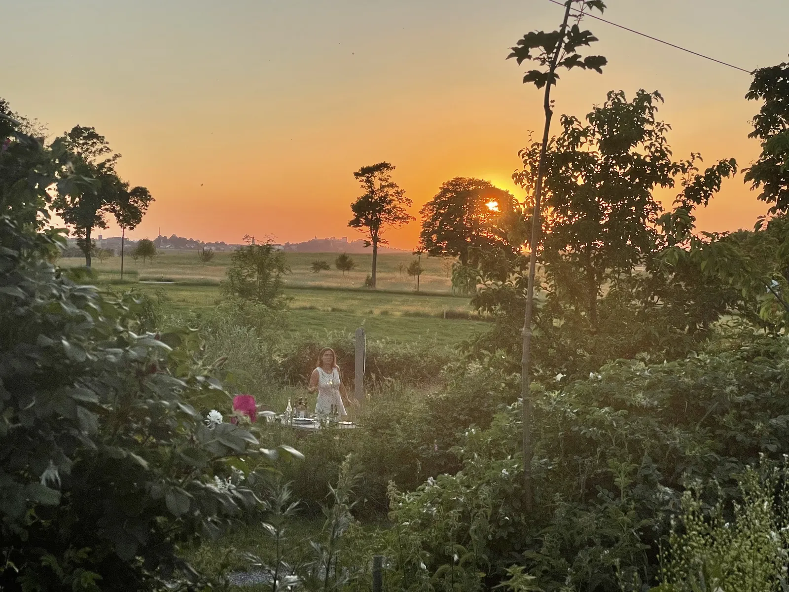 Sonnenuntergang über dem Garten